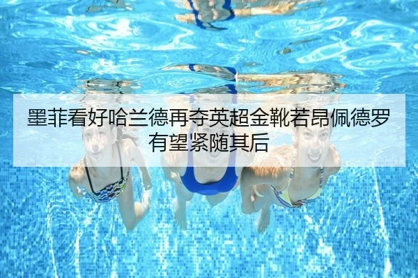 墨菲看好哈兰德再夺英超金靴若昂佩德罗有望紧随其后